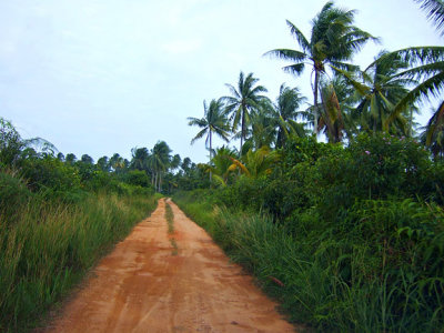 Picture 014.jpg