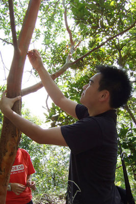 Picture 243 copy.jpg
