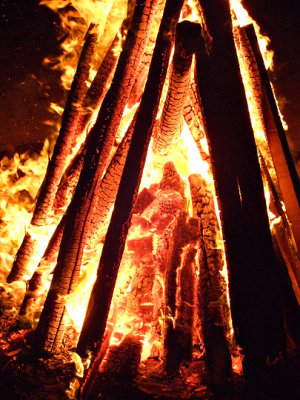 Picture 409e copy.jpg