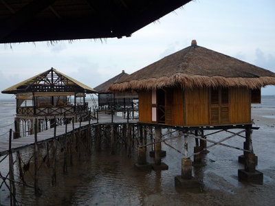 P1030161.jpg