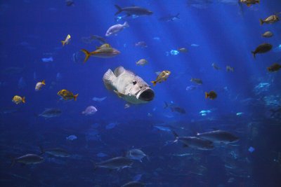 IMG_6583_2.jpg