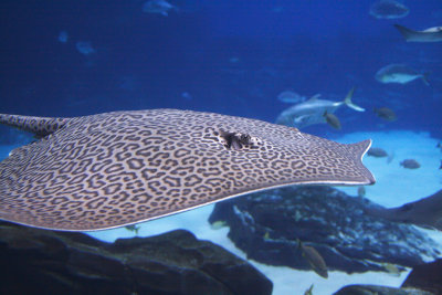 IMG_7542_2.jpg