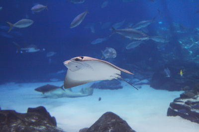 IMG_7458.jpg