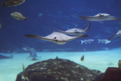 IMG_7510.jpg