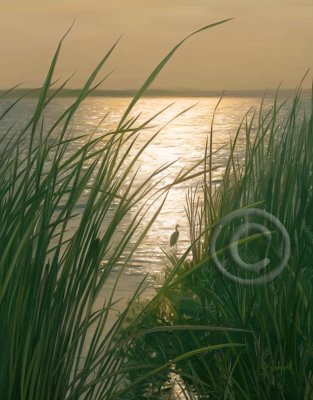 Marsh Sunset