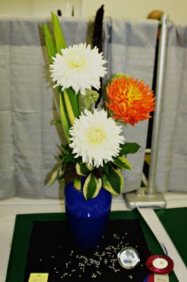 PICT7316-2-09-ads.jpg