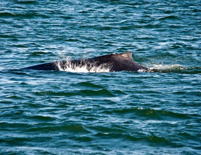 _DSC0201-2-10.jpg