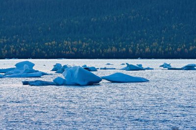 _DSC0420-2-10.jpg