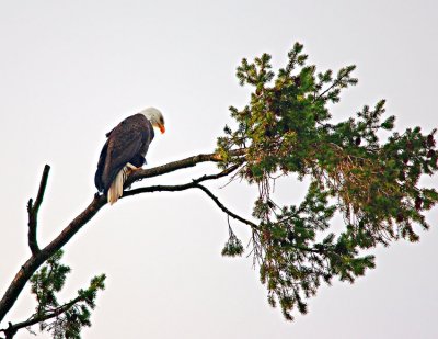 _DSC2937-2-10.jpg