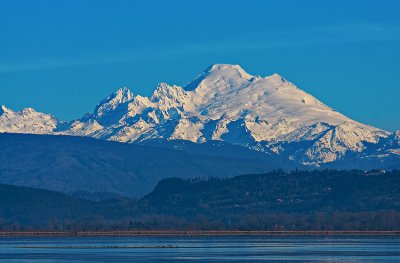 _DSC4251-2-11.jpg