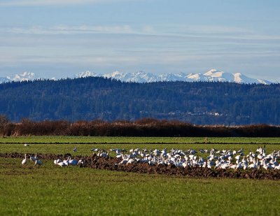 _DSC4237-2-11.jpg