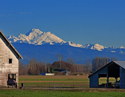 _DSC4245-2-11.jpg