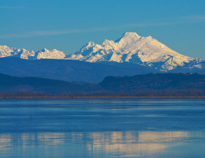 _DSC4252-2-11.jpg