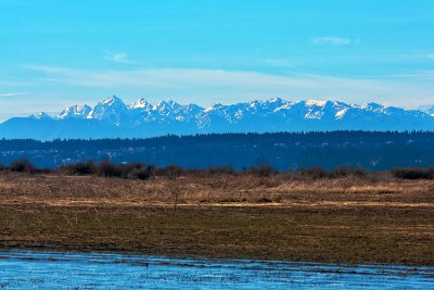 _DSC4271-2-11.jpg