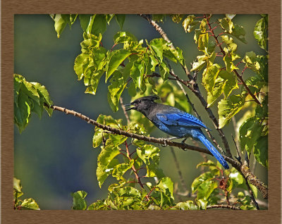_DSC5005-2-12.jpg