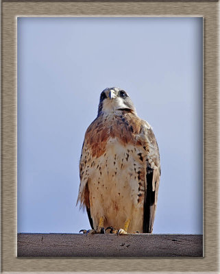 _DSC5188-2-12.jpg