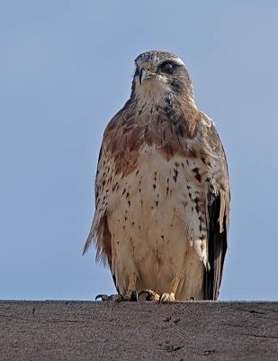 _DSC5202-2-12.jpg