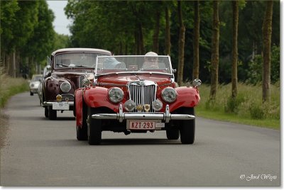 oldtimers_DSC_0313.JPG