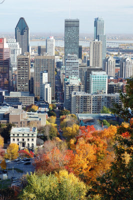 mtl0425.jpg