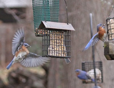 g1/05/814205/3/109847140.im35G12y.jpg