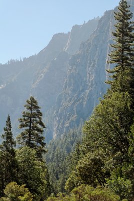 Cathedral Rocks