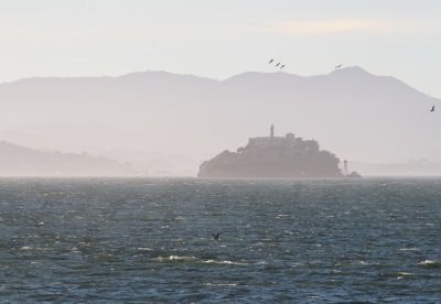View on Alcatraz
