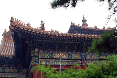 Lama Temple