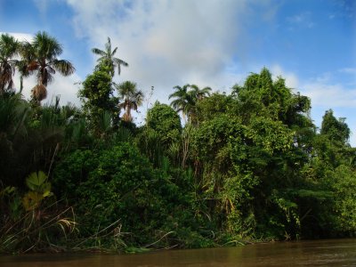 Napo River