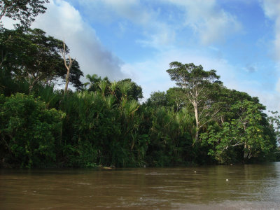 Napo River