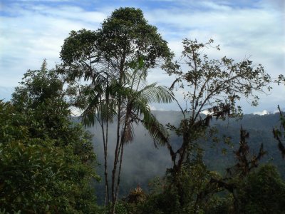 View from Reserva Las Gralarias