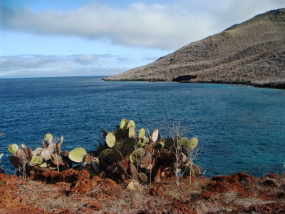 Rabida