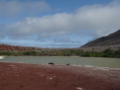 Rabida