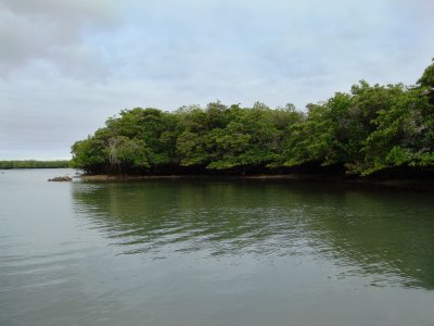 Galapagos Scenery