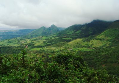 Yunguilla Reserve, Pale-headed Brush-Finch habitat