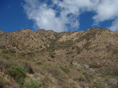 Cerro Tunari