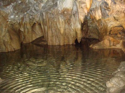 Timpanogos Cave, Pool