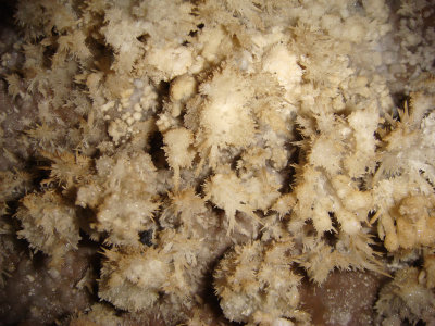 Timpanogos Cave, Crystals