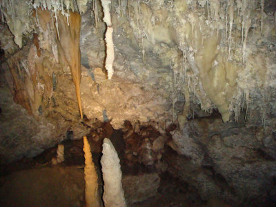 Timpanogos Cave, Helicitites