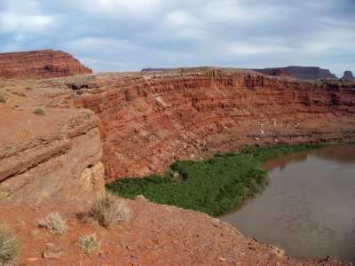 Colorado River Through Canyonlands NP