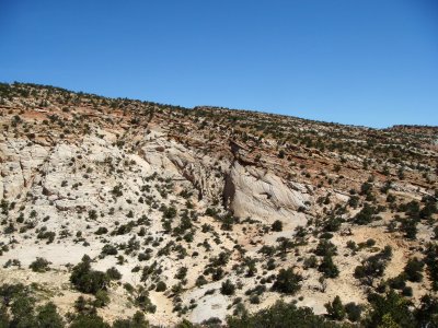 Dipping slope of the Waterpocket Fold