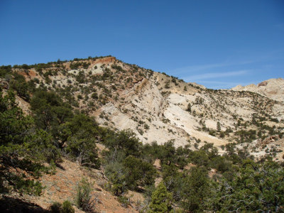 Dipping slope of the Waterpocket Fold