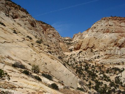 Canyon of Navajo Sandstone in the Waterpocket Fold