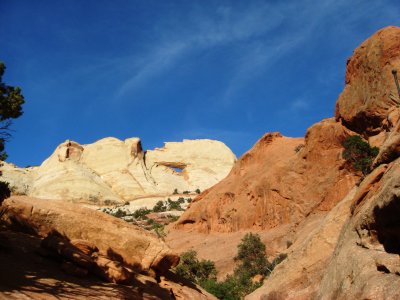 Navajo Sandstone and Wingate Sandstone