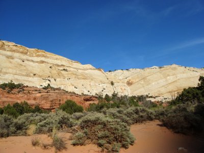 Navajo Sandstone and Wingate Sandstone