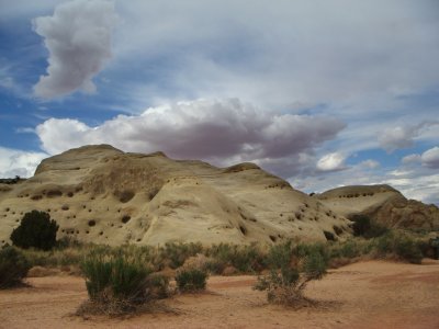 Area of Dinosaur Footprints