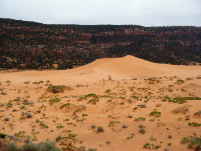 Coral Pink Sand Dunes