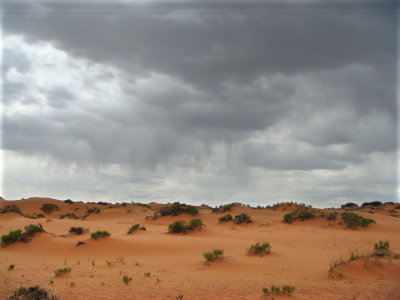 Coral Pink Sand Dunes