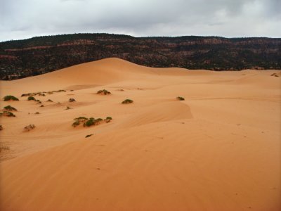 Coral Pink Sand Dunes