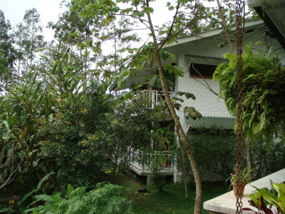Canopy Lodge