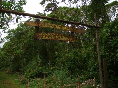 Cerro Gaital Forest Trail